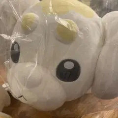 2個セット パピモッチもっちりっちぬいぐるみ　パピモッチ　ポケモン