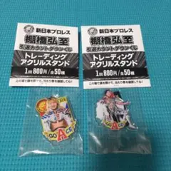 【新品未開封】シンニチプレミアムくじ フィニッシュ賞 アクスタ11種 コンプ 新日本プロレス シンニチプレミアムくじ 2024年 第3弾！