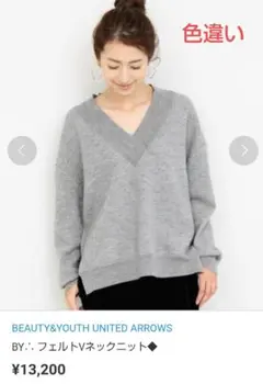 BEAUTY&YOUTH UNITED ARROWS フェルト Vネック ニット