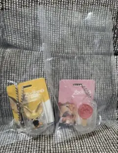 ズートピア　ブリスターチャーム　２点セット