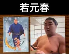 大相撲 ★ 若元春 ★ サイン入りBBM2025大相撲カード＆ 生写真付きのサムネイル