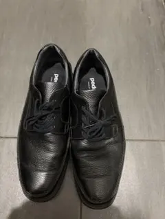 Item thumbnail for item b702e6ae-e96e-4dab-92ea-e9e1bd36e12e