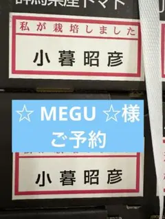 ☆ MEGU ☆様
