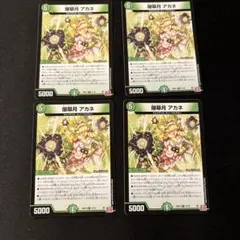 決鬥之王茜 猴子 蘇2337