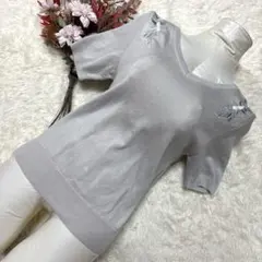 MiiA 刺繍入り グレー 半袖ニット Ｖネック【F】上品 ストレッチ 通年のサムネイル