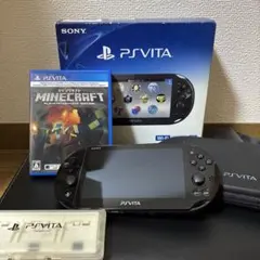 ヒ*ゲ様 PS Vita PCH-2000 箱あり Minecraft付 ケース