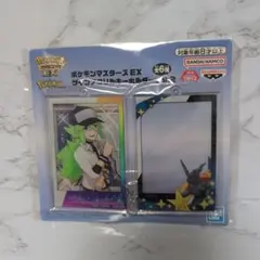 ポケモンマスターズEX ツインアクリルキーホルダーvol.2 N ゼクロム