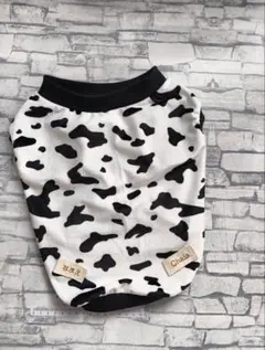 Item thumbnail for item 7cb0b84d-5072-4b86-a818-441e6f10e84b