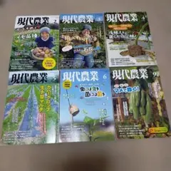 Item thumbnail for item 23727faf-c9fe-48bc-a23f-929f3ba87fab