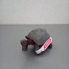 シュライヒ　schleich　リクガメ　カメ　動物　爬虫類　フィギュアのサムネイル
