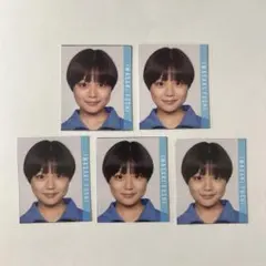 Myojo デタカ データカード 5枚セット 大サイズ Jr. 岩崎楓士