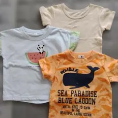 Tシャツ 90cm3点セット