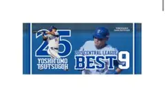 Item thumbnail for item 7cc9b909-7b9f-446d-8d73-1c52eb2a1ce5