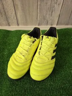 Item thumbnail for item fdd9b6c8-b33d-4f32-b65d-390ead0ba65d