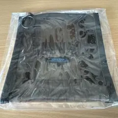 Stray Kids 2nd World Tour MANIAC クリアポーチ