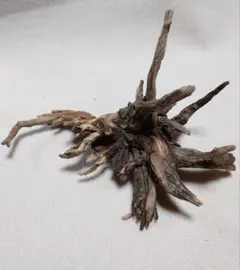 2026年最新】アク抜き済流木の人気アイテム - メルカリ