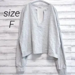 グリーンパークス キーネック スウェット 裏毛 トレーナー グレー F ワイド