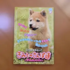 Item thumbnail for item 273e573a-e4be-46bf-86f6-882fde1af548