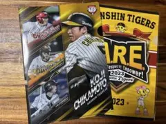 野球クリアファイル　2枚セット