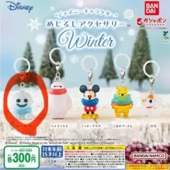 ディズニー めじるしアクセサリー Winter スノーギース 2個