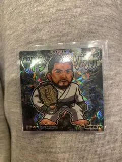 RIZIN ホベルトサトシソウザ シール ステッカー