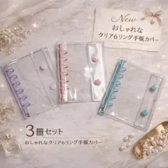 3冊セット シール帳 バインダー A7 推し活 クリア リフィル30枚付 最安値