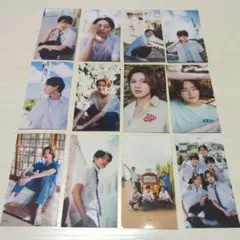 ACEes 厚紙カード/Myojo2月号