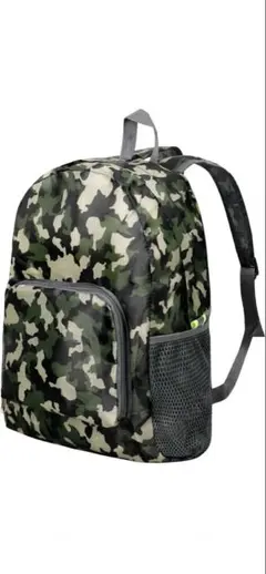 Item thumbnail for item 305c4d1a-79c2-4c01-ac56-f6084ff462c1