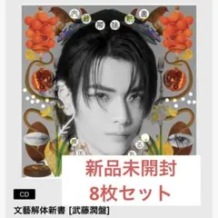 原因は自分にある。 げんじぶ CD ソロ盤 武藤潤盤 文藝解体新書