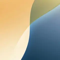 専用