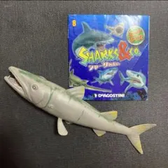 オニカマス　ブックレット シャーク　&co デアゴスティーニ　アンドコ