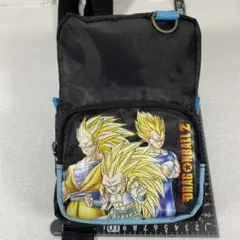 Item thumbnail for item 115a3737-52d8-4f20-90f5-26992a3e8ab5