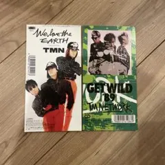 TMN/ラヴ・トレイン　get wild 8cm