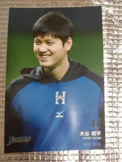 大谷翔平 2016 ハイライトフォト No.149 日本ハム 球団公式写真