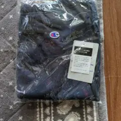 Item thumbnail for item b28399d9-a31c-451f-ab03-e5ed33098b73