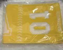 Item thumbnail for item bd68393f-5de9-4977-a1b1-6cd83119971c