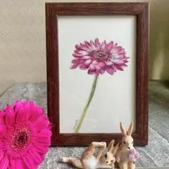 Item thumbnail for item 61410bb0-be11-4f25-ba1e-ac30ab3ac0a9