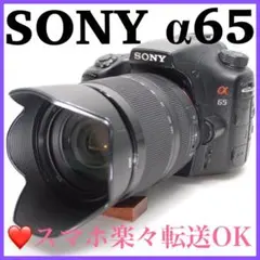 SONY α65✨高速連写機能✨届いたらすぐに使えます✨スマホ転送◎ ✨SONY α65✨高速連写機能✨一眼レフデビュー✨スマホ転送✨すぐ使える