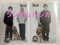 もふもふ様　専用ページ　Y&U vol.4 豊作の秋 グッズトレカ