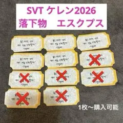 セブチ　SEVENTEEN ケレン　CARATLAND 落下物　エスクプス