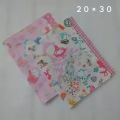 ランチョンマット 2枚セット 20×30 ランチクロス プリンセス アリス