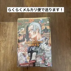 サンデーvsマガジン　炎の転校生　10種10枚セット＋おまけ1枚 TCG『サンデーVSマガジン』 炎の転校生 10種 各1枚 - メルカリ