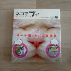 Item thumbnail for item 8ff22470-988d-4d7e-9e0b-ad5307dc8d79