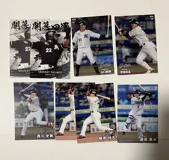 プロ野球チップス カード 千葉ロッテマリーンズ