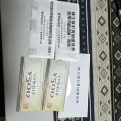 ヤマダ電機 500円お買物優待券2枚