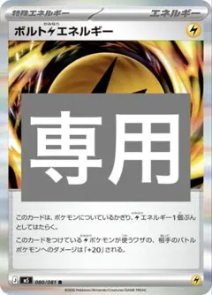 専用