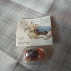 ネイチャーテクニカラー サワガニ　ストラップ