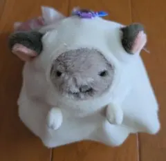 カルディ なりきりチンチラマスコット