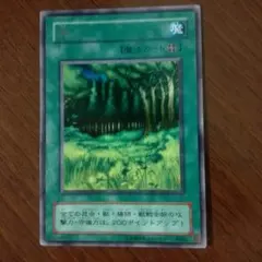 Foil】沼/Swamp (ICE版アリーナFoilランド)英語版1枚 - メルカリ