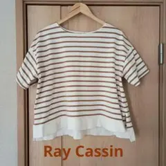 Ray Cassin♡ 白/茶色 ボーダー、 半袖 Tシャツ、フリーサイズのサムネイル